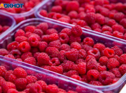 С волжских улиц выметают стихийных торговцев: очередной рейд выявил 7 нарушителей 