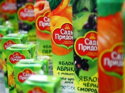 Проворовавшимся сотрудникам «Садов Придонья» грозит до 10 лет заключения