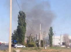 Сухая трава вспыхнула напротив магазина «Ситилинк» в Волжском