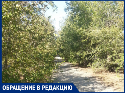 «Вся улица в зарослях», - волжанка