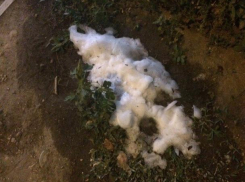 Маленький сугроб снега обнаружил наблюдательный волжанин у себя на улице