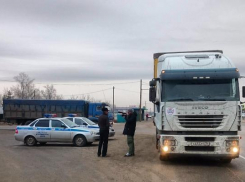 Выехавшие в Москву бастующие дальнобойщики из Волгограда пока добрались лишь до Михайловки