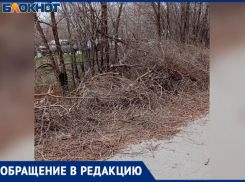 В Волжском пешеходная дорожка завалена ветками и во время мобилизации увезли лавочки