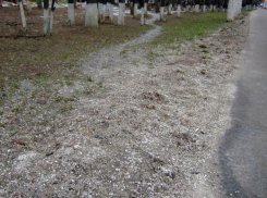 Более двух миллионов выделено на закупку антигололедного реагента