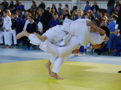 Волжане получили девять золотых медалей первенства города  по дзюдо 