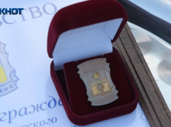 Бюджет Волжского выделит средства на пособия, бесплатные мероприятия и проезд почетным жителям