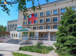 Волжанам напомнили о ценности зернобобовых культур