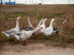 Сильная магнитная буря и свинцовые облака накроют Волжский во вторник: прогноз погоды 