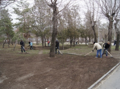 Волжан позвали на субботник