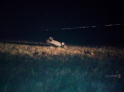 В Волгоградской области «девятка» опрокинулась, а водитель пешком скрылся с места ДТП