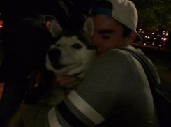 Породистую «потеряшку» вернули хозяину добрые волжане