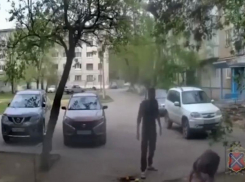 В Волжском задержан мужчина, устроивший конфликт во дворе из-за цветов: видео