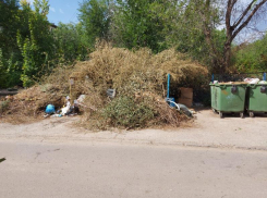 В Волжском образовалась свалка из сухих веток
