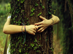 В регионе на три недели продлено ограничение на посещение леса