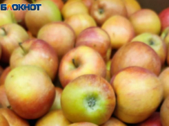 Сколько стоят плоды грехопадения в Волжском: мониторинг цены на яблоки