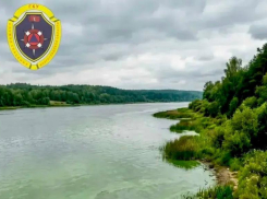 Волжанам рассказали, почему опасно купаться в «цветущей» воде