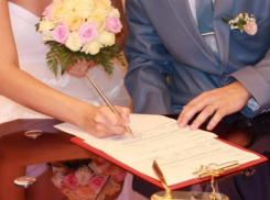 Волжане высказали свое мнение о заключении брака