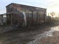 На сгоревшей конюшне отказываются верить в вину подростка