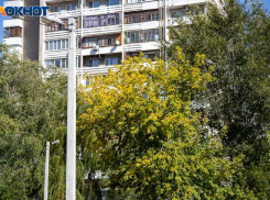 В Волжском обсуждают мужчину со спущенными штанами у школы