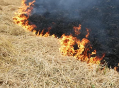 Под Волжским спалили сенник