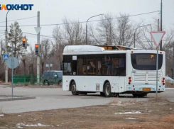 Глава СКР Бастрыкин займется вопросом поднятия стоимости проезда в общественном транспорте Волжского