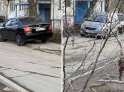 Автохамы заполонили пешеходную дорогу во дворе Волжского: фото