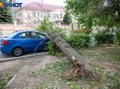Новый ураган обрушится на Волгоградскую область