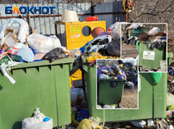 Драки за звание волжского мусорного короля не было: ООО «ЭкоЦентр» оставят постоянным регоператором