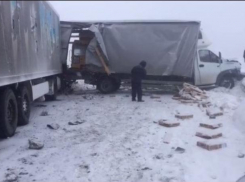 Десятки фур и легковушек заблокировали трассу под Волгоградом