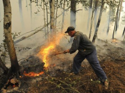 В МЧС объявили экстренное предупреждение из-за жары: волжан просят воздержаться от выездов на природу 