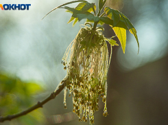 В Волжском назвали дни, когда стоит закрыть окна