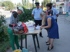 Семь уличных торговцев свернули свои незаконные лавочки во время проверок администрации в Волжском