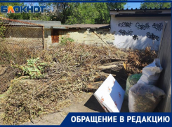 «Вспыхнет, и полгорода сгорит», — волжанка о горе валежника во дворе. Видео