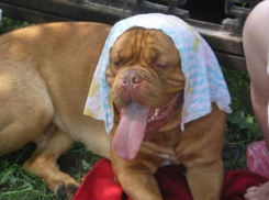 Настоящее лето наконец-то пришло в Волжский