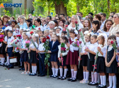 Куда звонить, чтобы получить льготы для школьников, студентов и многодетных в Волжском