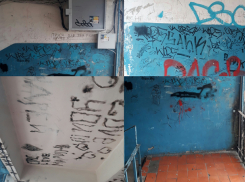 Волжанин решил смириться с состоянием своего подъезда