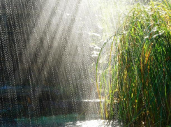 Во вторник в Волжском ожидается дождь с грозой