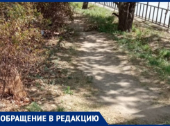 Волжанка пожаловалась на отсутствие тротуара и неудобный пешеходный переход