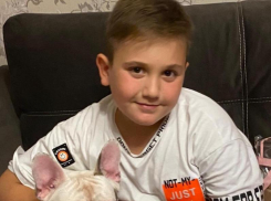 8-летнему мальчику сломала позвоночник упавшая ветка дерева в Волгограде