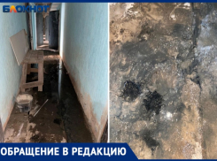 Насекомые и жуткий запах: УК «Импульс» не реагирует на жалобы волжан
