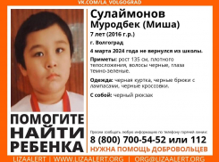 Не вернулся из школы: к поискам 7-летнего волгоградца присоединяются жители Волжского