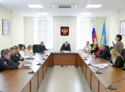 Депутатская комиссия в Волжском обсудила детские травмы на дорогах и «плохие компании»