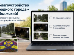 Благоустройство родного города – Волжский