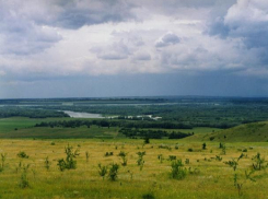 Волжан оповестили о старте сезона охоты на волка и шакала в области