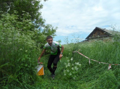 Волжские спортсмены завоевали 4 золотых медали на соревнованиях по спортивному ориентированию.