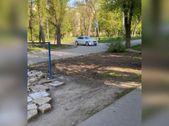 Мусор и сухостой убрали во дворе после публикации в «Блокнот Волжский»