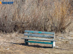 Встречали весну с природой: приметы наших предков