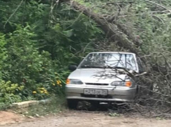 Волжане считают упавшие деревья и пострадавшие машины 