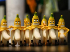 Розовый банан спеет в Волжском: удивительный фрукт растет в ботаническом саду