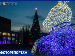Главная елка города нарядилась и ждет восторженных волжан на площади 